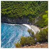 Κοτσικιά